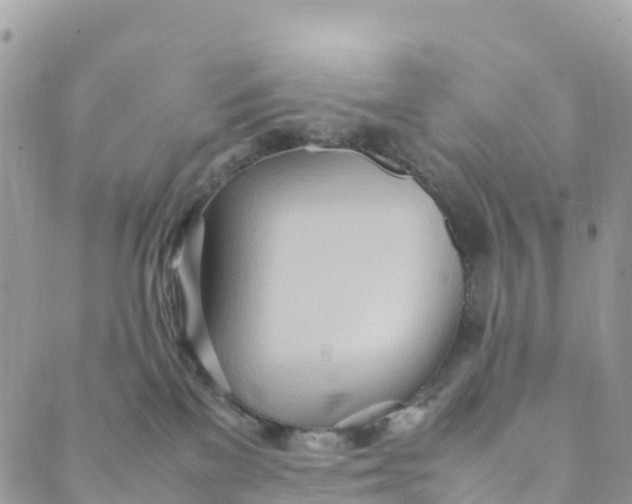 X0000089370137200707061123