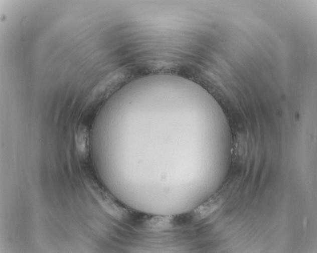 X0000089370138200707061123