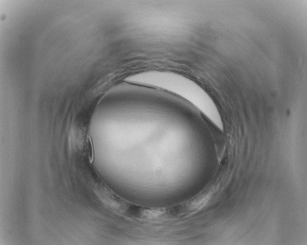 X0000089370139200707061123