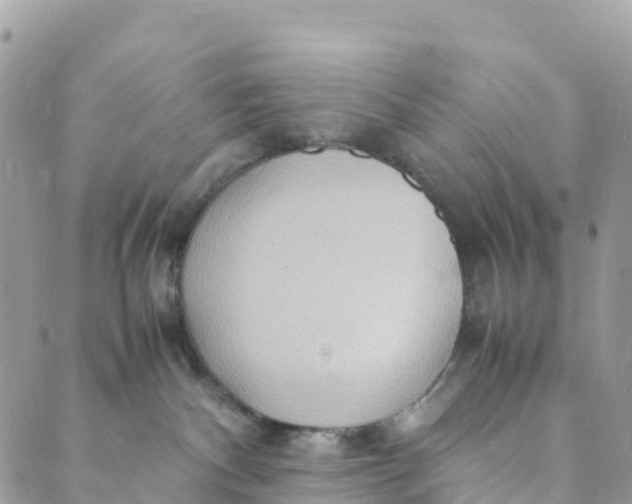 X0000089370140200707061123