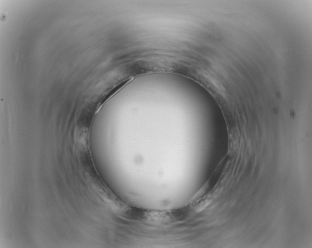 X0000089370141200707061123