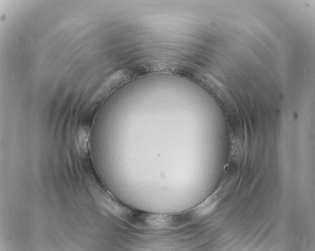 X0000089370142200707061123