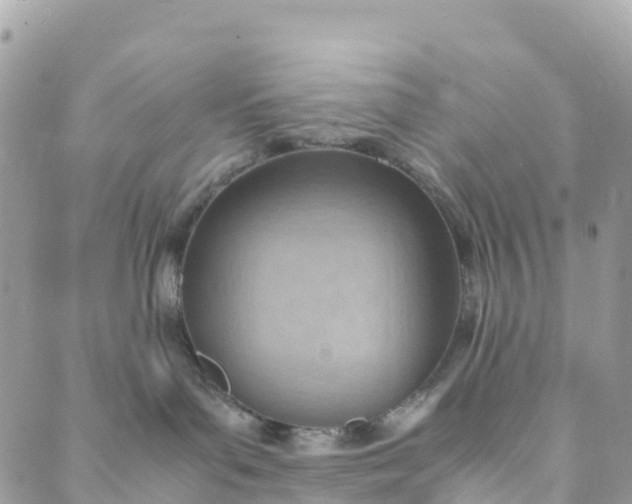 X0000089370143200707061123