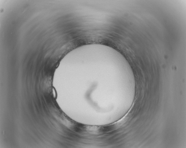 X0000089370144200707061123