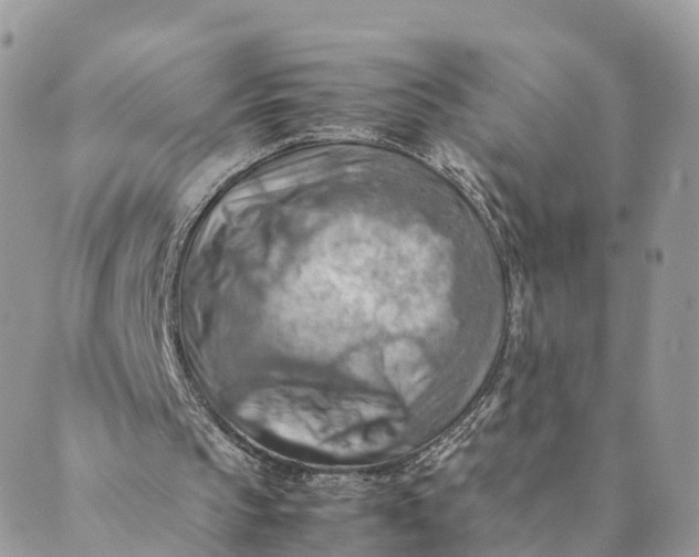 X0000089370145200707061122