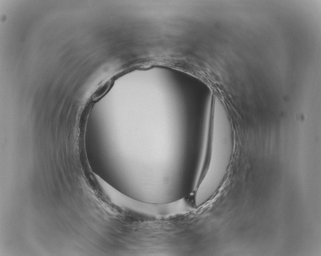 X0000089370150200707061123