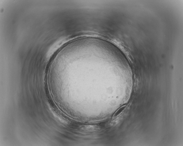 X0000089370151200707061123