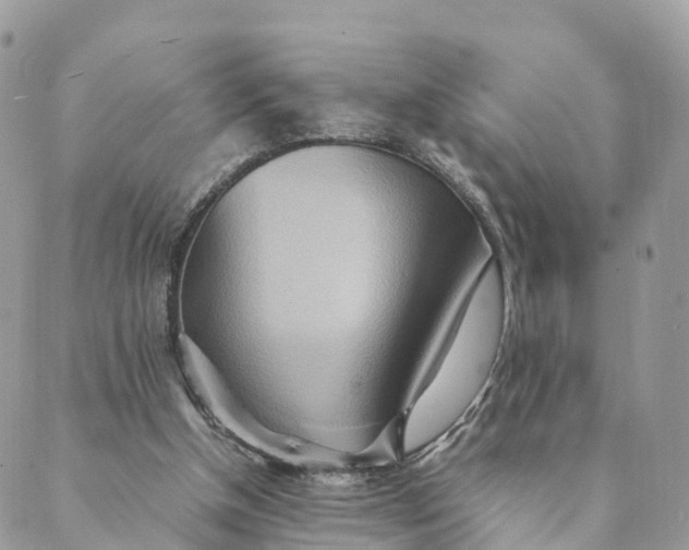 X0000089370154200707061123