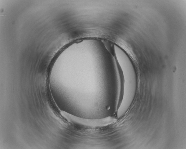 X0000089370156200707061123