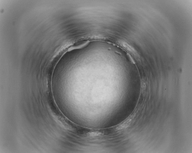 X0000089370158200707061123