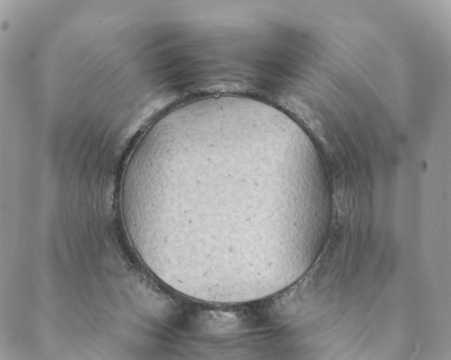 X0000089370159200707061123