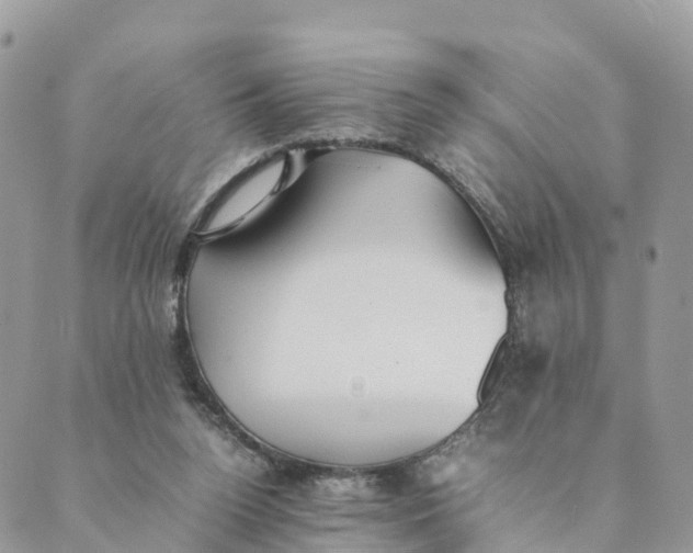 X0000089370160200707061123