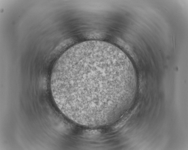 X0000089370161200707061123