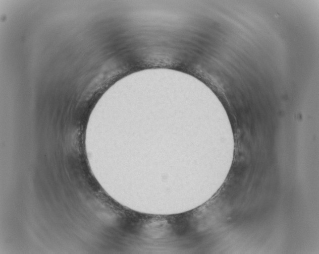 X0000089370162200707061123