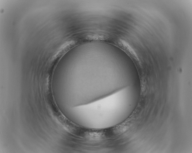 X0000089370163200707061123