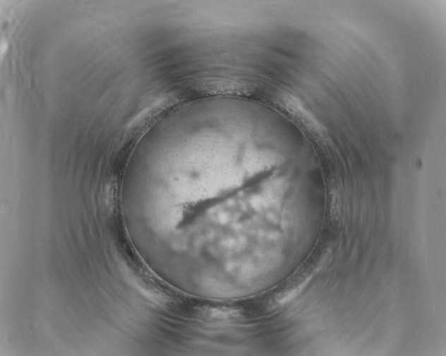 X0000089370165200707061123