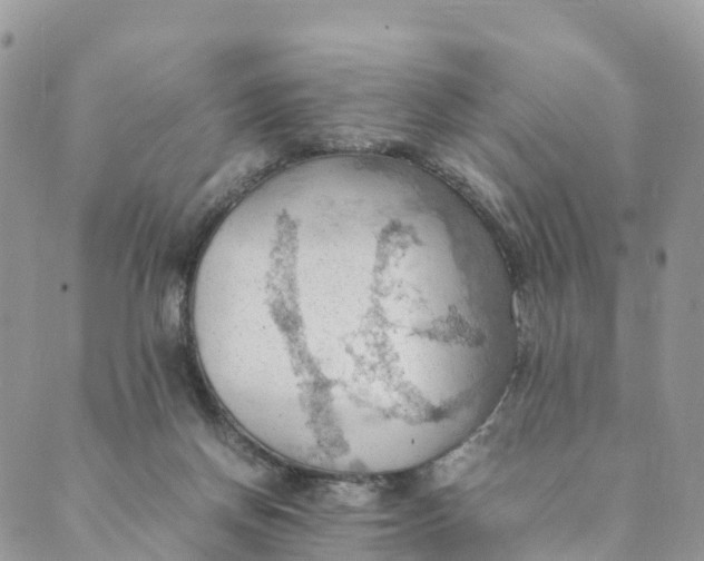 X0000089370166200707061123