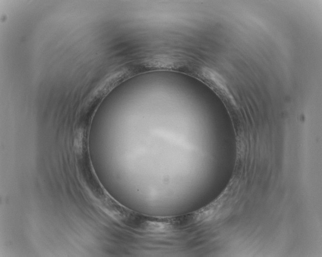 X0000089370167200707061123