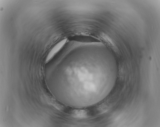 X0000089370169200707061123