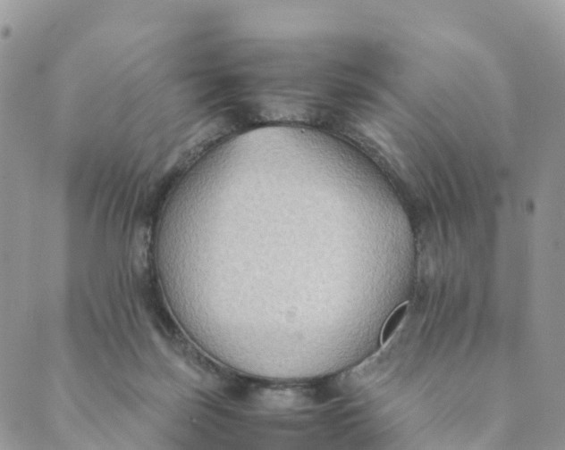 X0000089370171200707061123