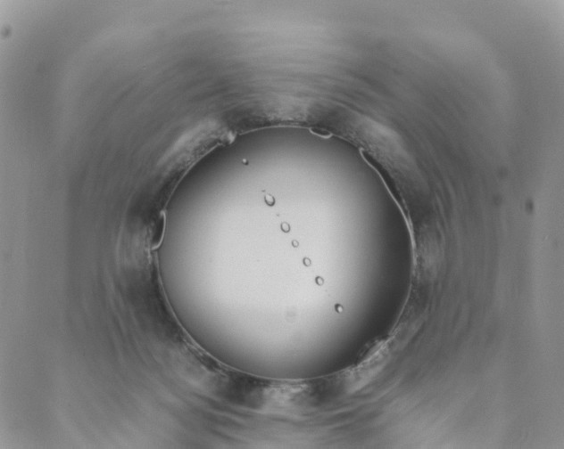 X0000089370172200707061123