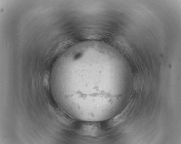 X0000089370175200707061123