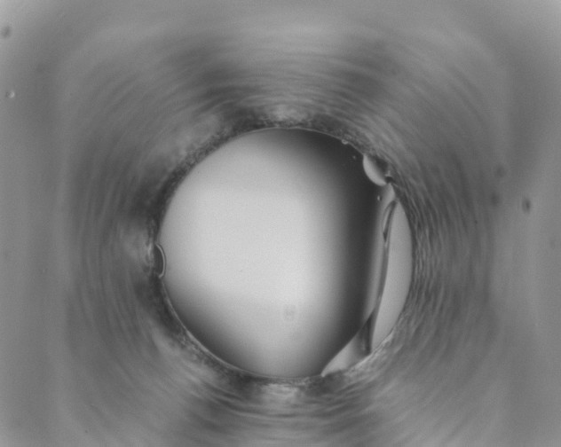 X0000089370176200707061123