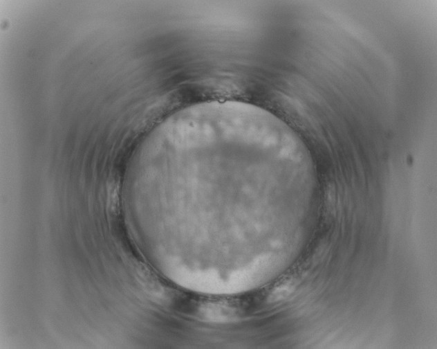 X0000089370177200707061123