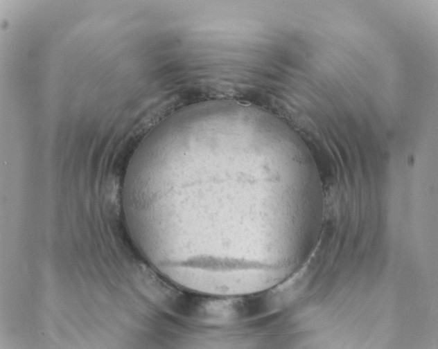 X0000089370178200707061123