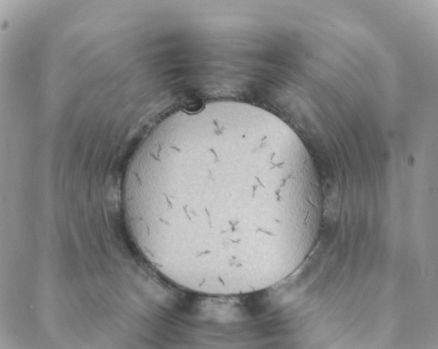 X0000089370179200707061123