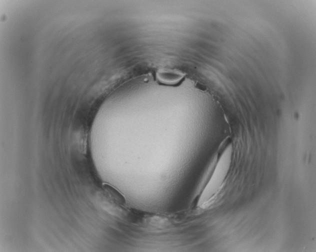 X0000089370180200707061123