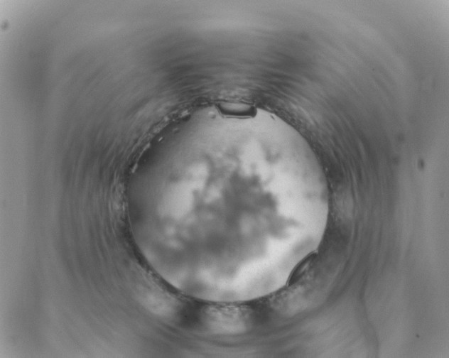 X0000089370181200707061123