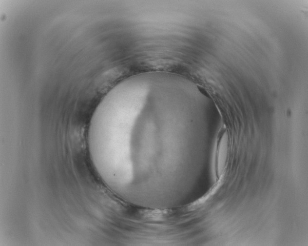 X0000089370182200707061123