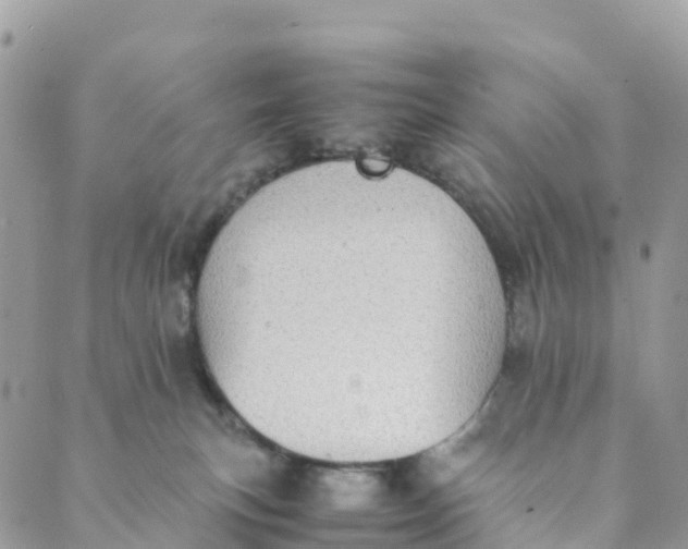 X0000089370183200707061123