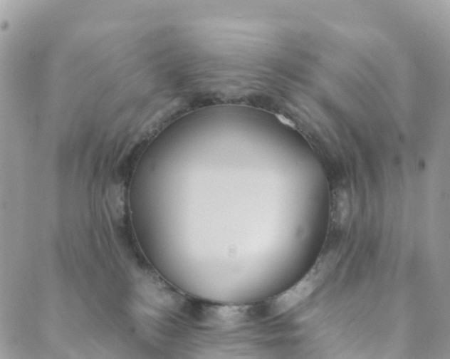 X0000089370184200707061123