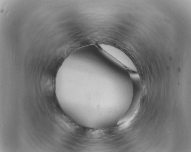 X0000089370186200707061123