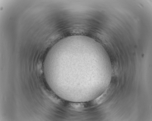 X0000089370187200707061123