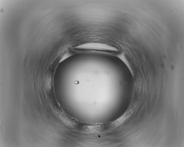 X0000089370188200707061123