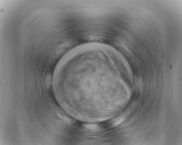 X0000089370189200707061123