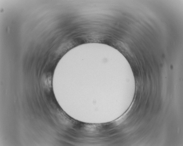 X0000089370190200707061123