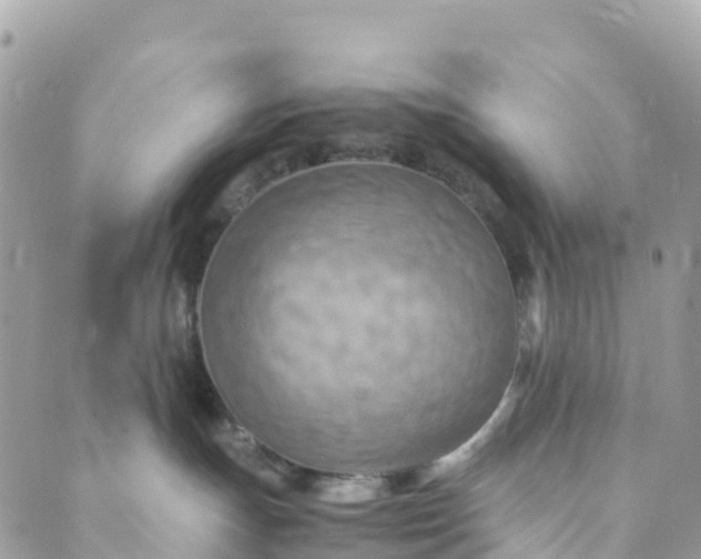 X0000089370191200707061123