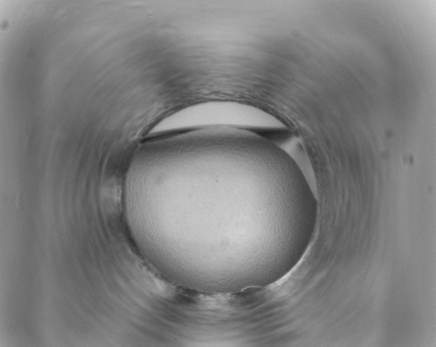 X0000089370192200707061123