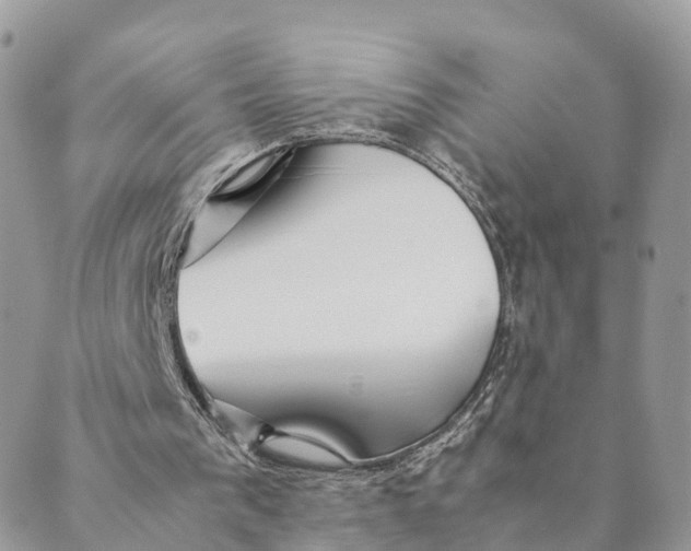 X0000089370193200707061122