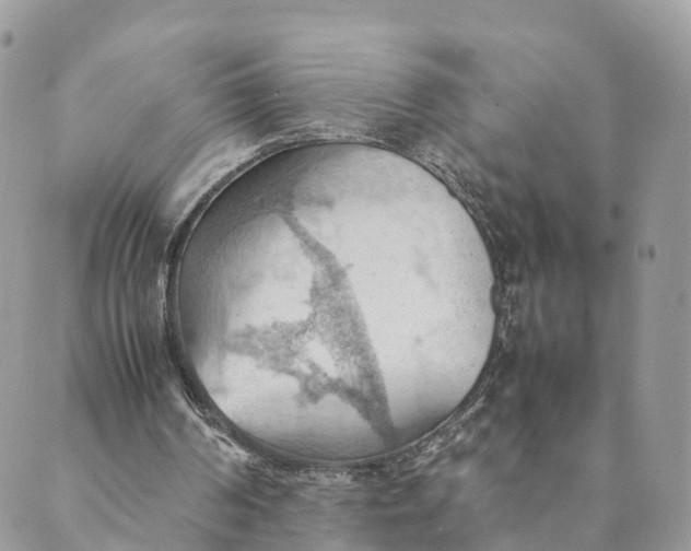 X0000089370194200707061122