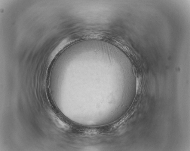 X0000089370195200707061122