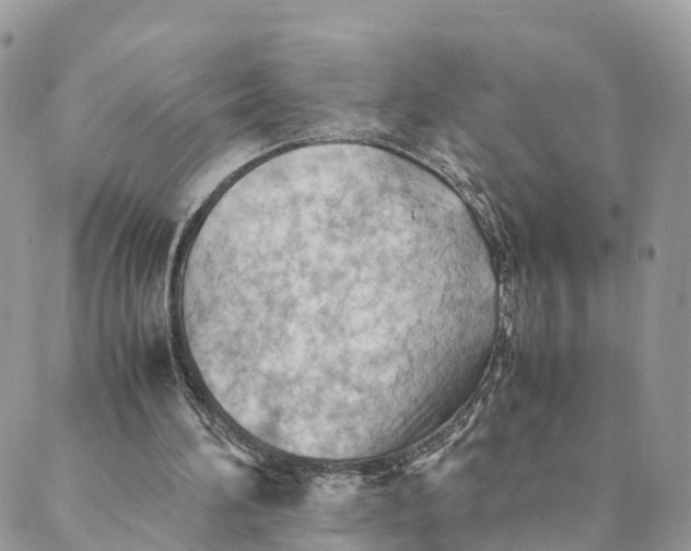 X0000089370196200707061122