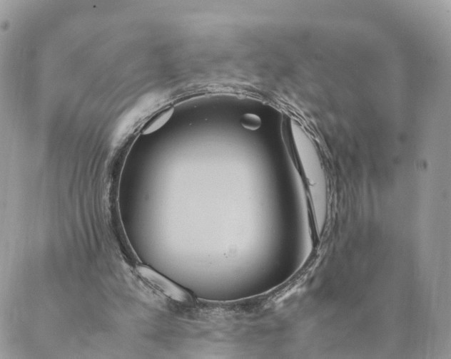 X0000089370197200707061122