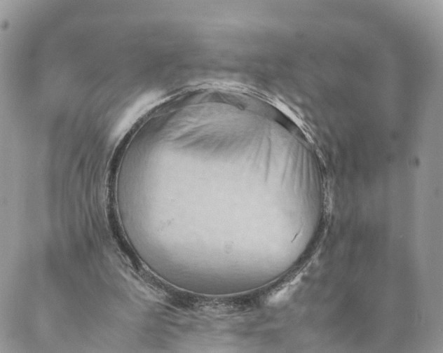 X0000089370199200707061122