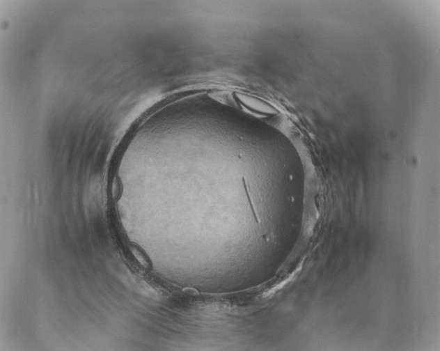 X0000089370200200707061122