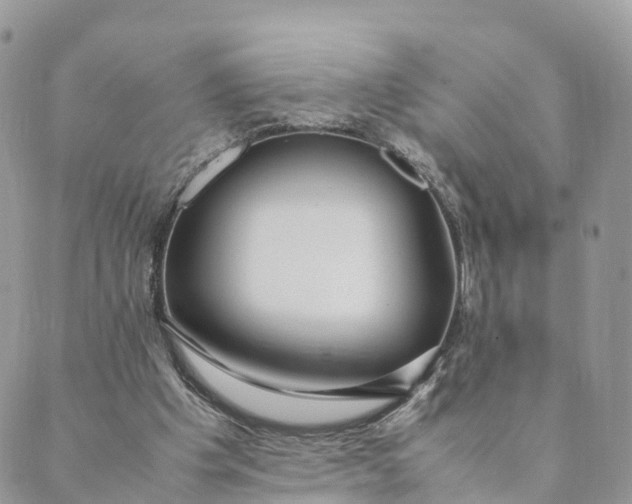 X0000089370201200707061122